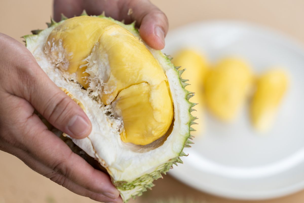 Durian Ucok